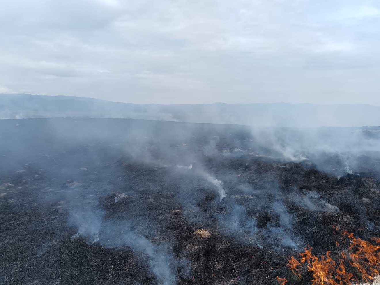 •  Fotó: Hargita megyei tűzoltóság