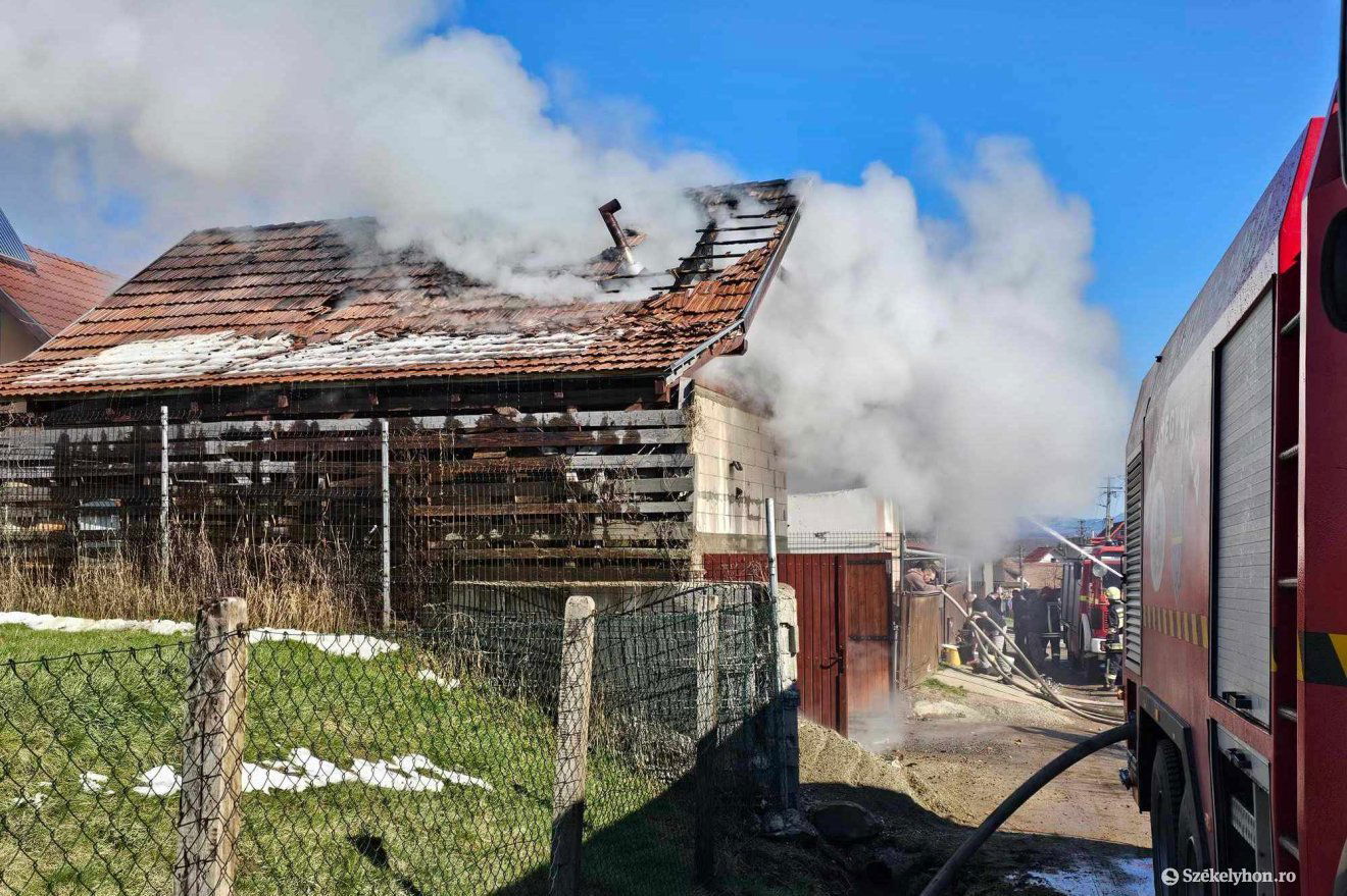 •  Fotó: Székelyhon