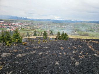 Nagy területen pusztítottak a lángok a Maroshévíz melletti domboldalon