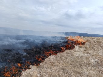 Eloltották a tűzoltók a Maroshévíz határában égő tarlótüzet