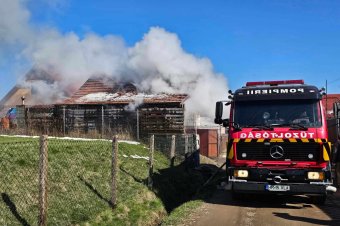 Több mint 4500 bevetésük volt a virágvasárnapi hétvégén a tűzoltóknak