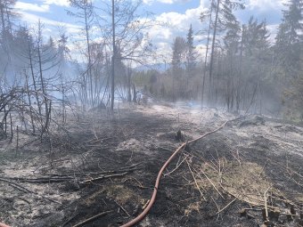 Eloltották a bozóttüzet Marosfőn – frissítve