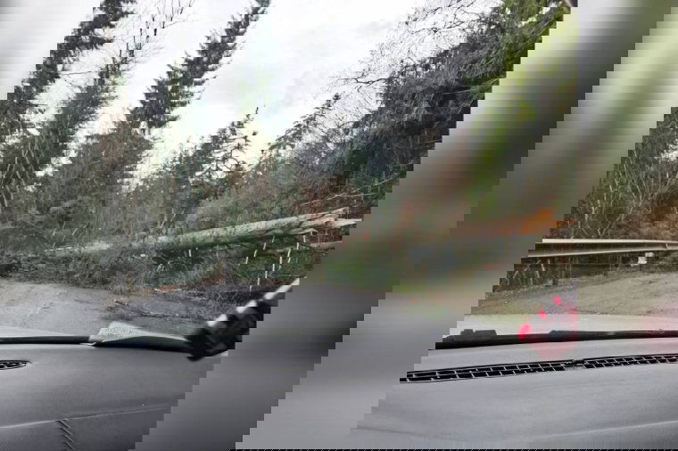 Kidőlt fa torlaszolta el az utat, de már járható a Libán