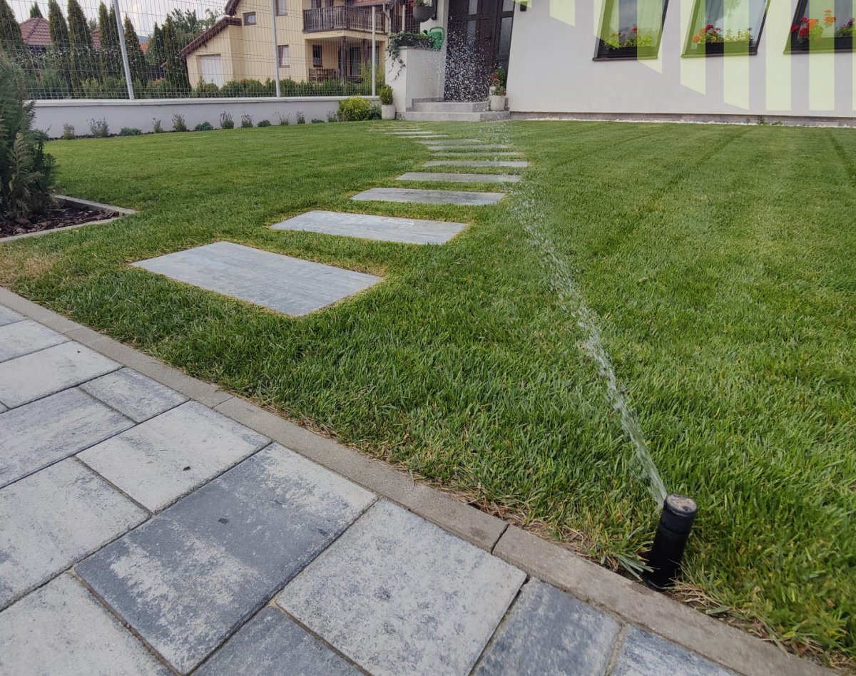 •  Fotó: Juniperus Landscaping