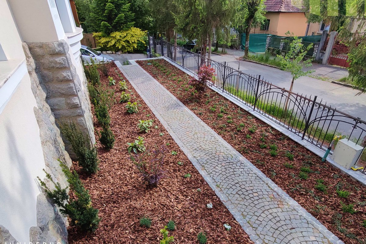•  Fotó: Juniperus Landscaping