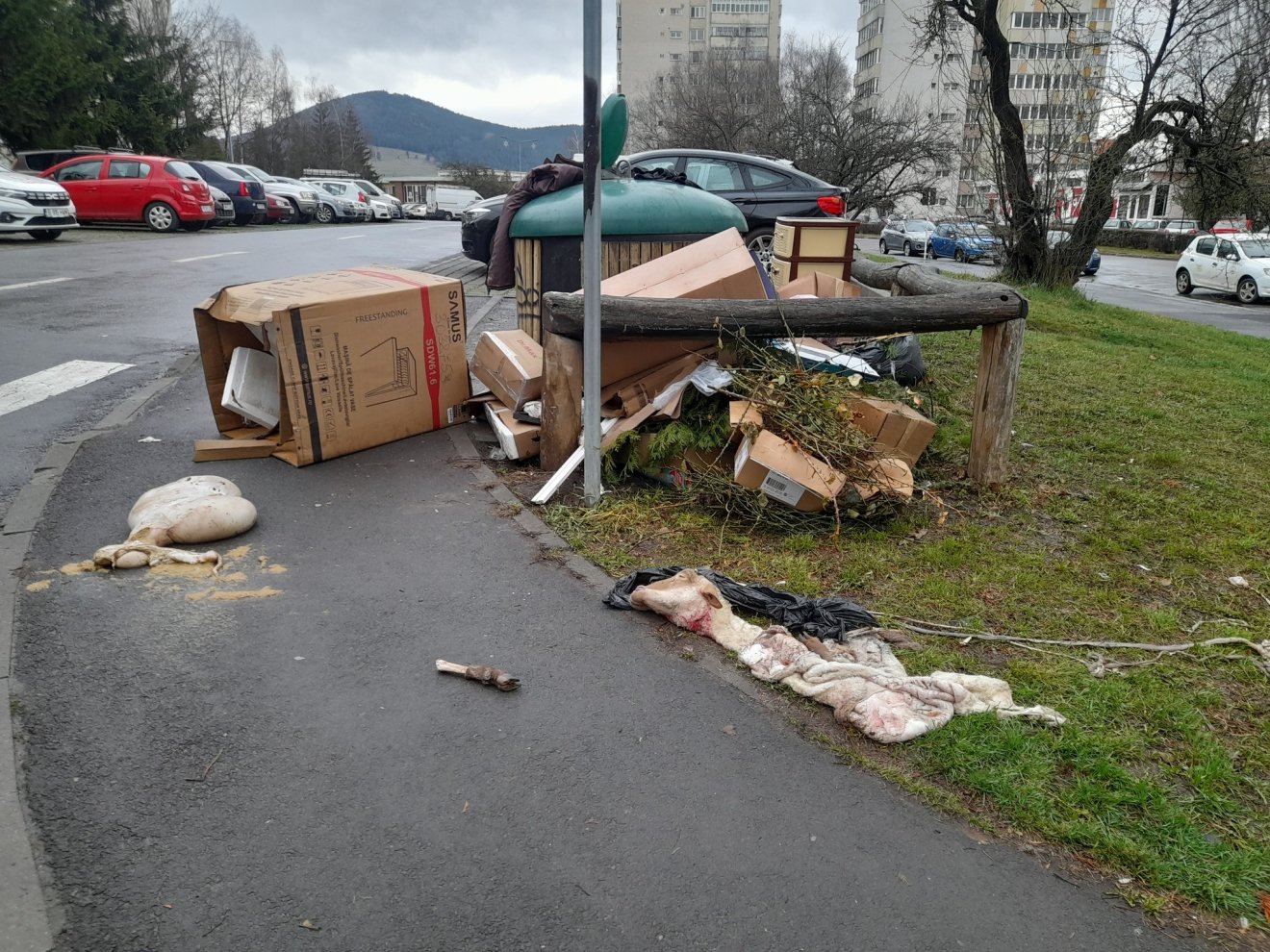 •  Fotó: Civil Csíkszereda Facebook-csoport