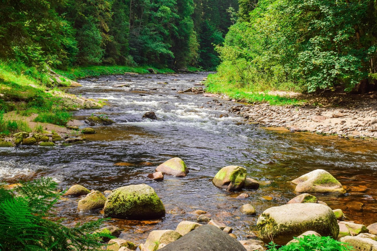 Számos olyan jelenségre mutattak rá a résztvevők, amelyek a városokba zárkózott, természettől elszakadt embereknek meglepőek lehetnek •  Fotó: Pixabay