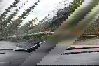 Kidőlt fa torlaszolta el az utat, de már járható a Libán