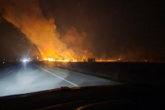 Az úttest mellett lángol a száraz növényzet Maros megyében