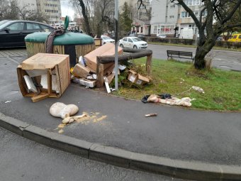 Báránytetem és szétszórt belsőségek egy csíkszeredai szeméttároló közelében