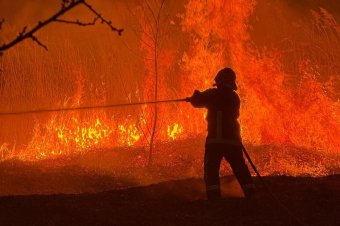Magasra csaptak a lángok, több tűzfészek is kialakult