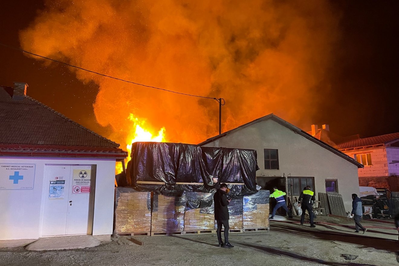 •  Fotó: Olvasói felvétel