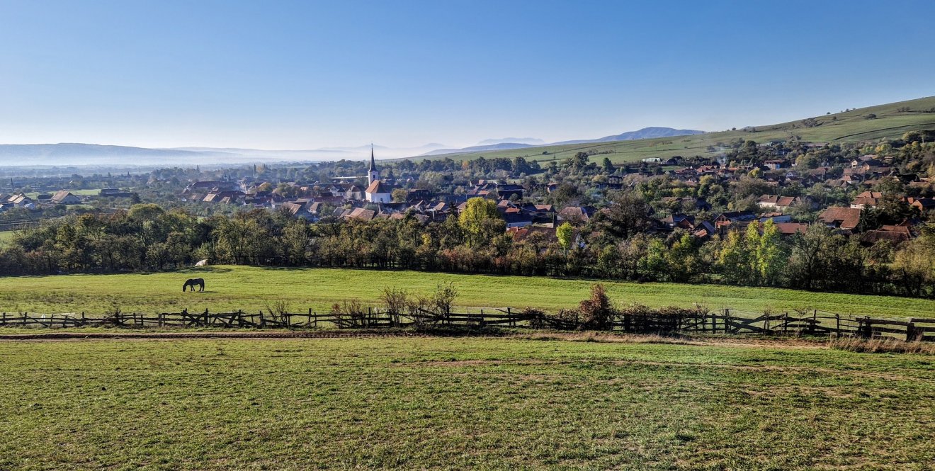 •  Fotó: Kocsis Károly