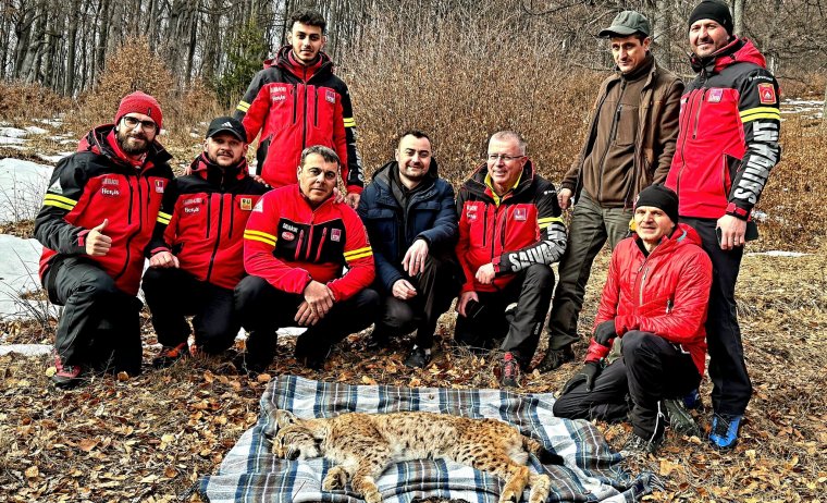 Kútba esett hiúzon segítettek a hegyimentők