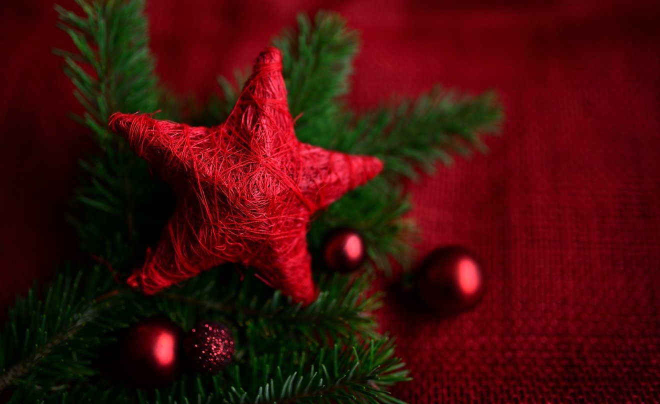 •  Fotó: Pixabay
