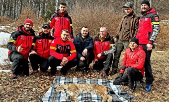 Kútba esett hiúzon segítettek a hegyimentők