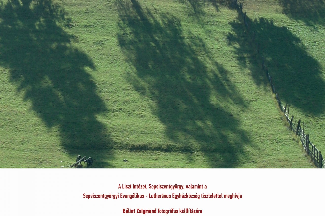 •  Fotó: Bálint Zsigmond/facebook