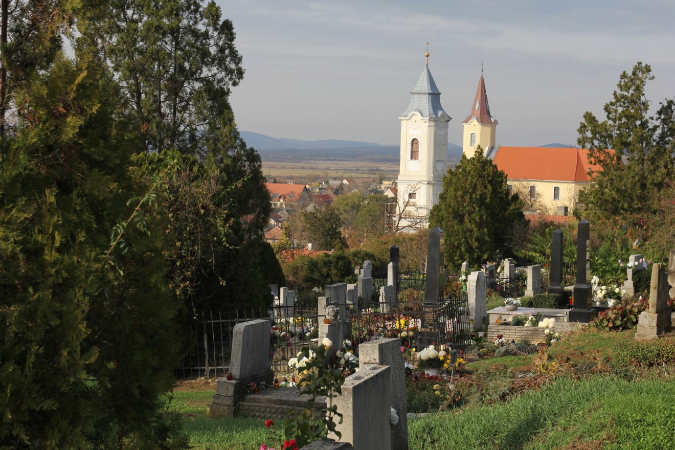 A tarcali temető •  Fotó: Kocsis Károly