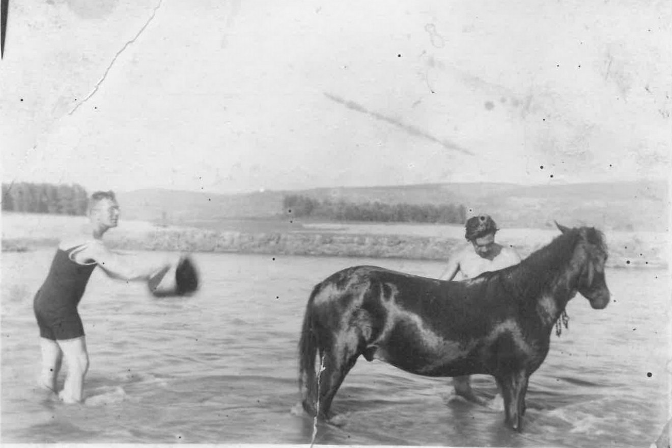 Lófürösztés Domokos Pál Péterrel •  Fotó: V. Laczkó Áron személyes archívuma