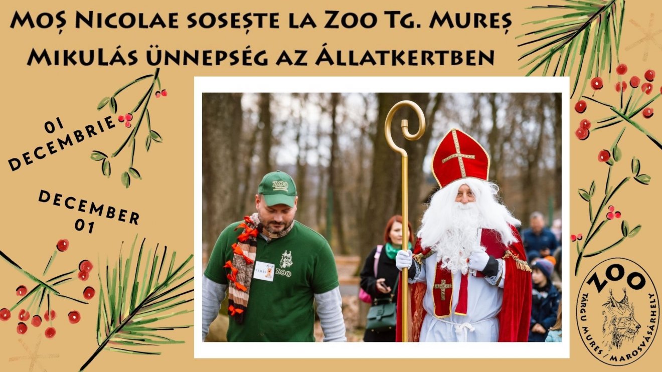 •  Fotó: Marosvásárhelyi Állatkert