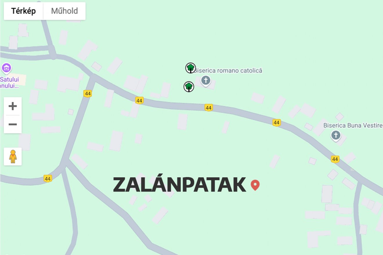 A két öreg fa már látható a Románia csodálatos fáit számon tartó adattárban •  Fotó: arboriremarcabili.ro