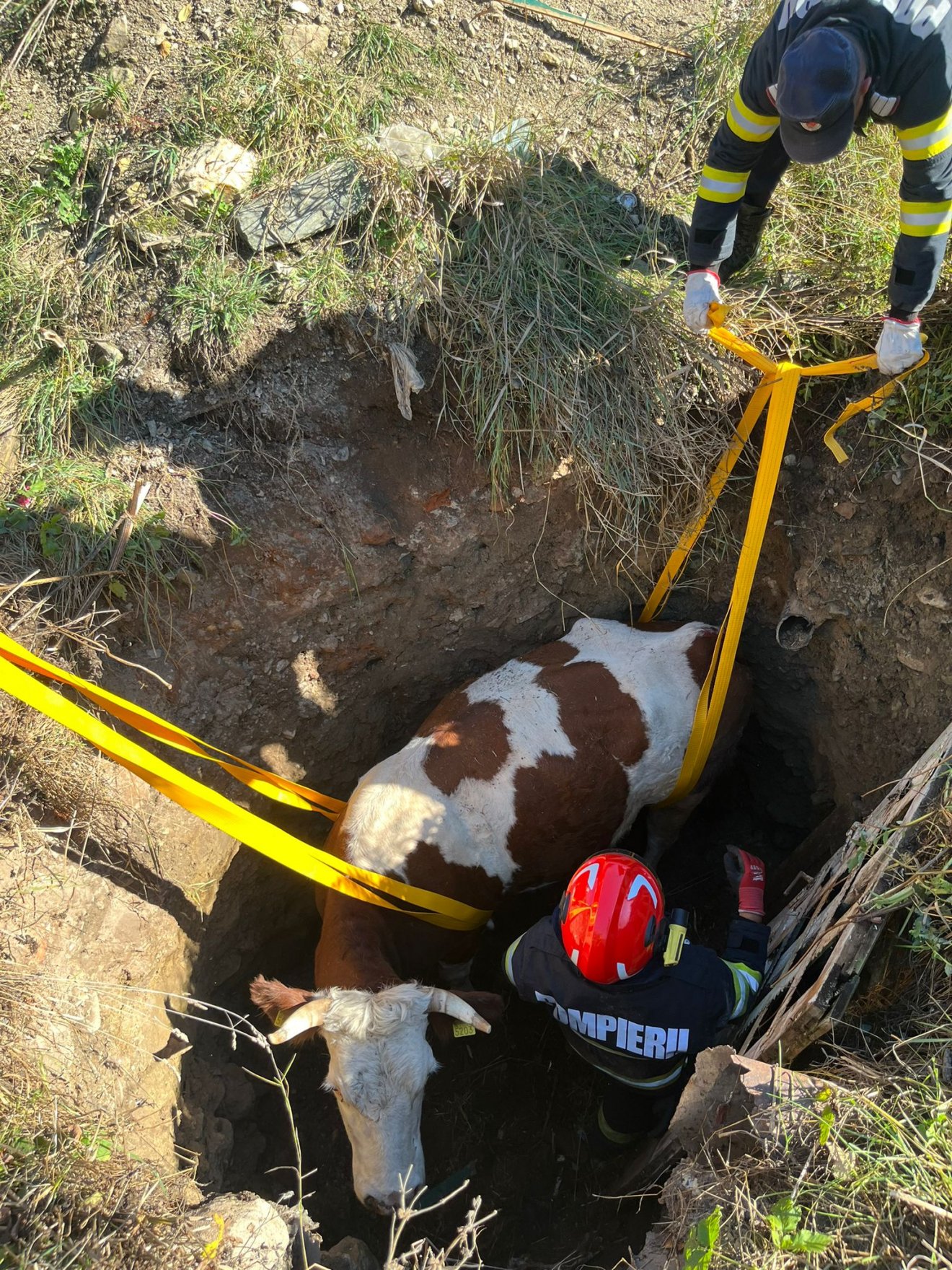 •  Fotó: Hargita megyei tűzoltóság