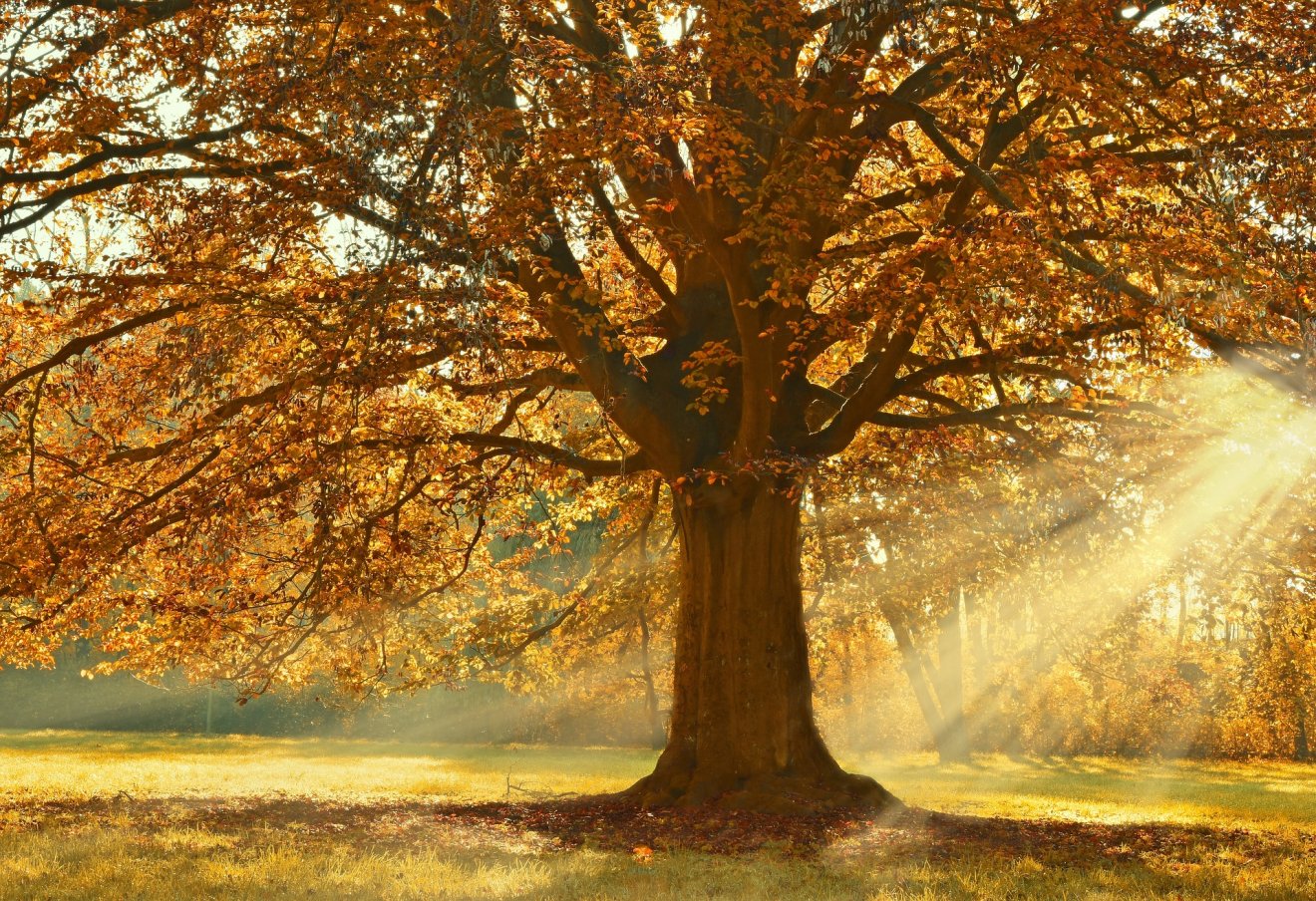 Képünk illusztráció •  Fotó: Pixabay