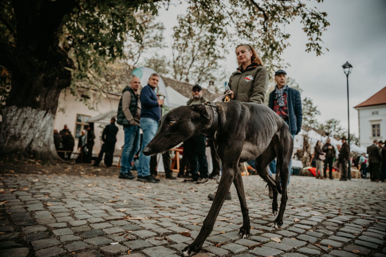 •  Fotó: Teutsch Tamás