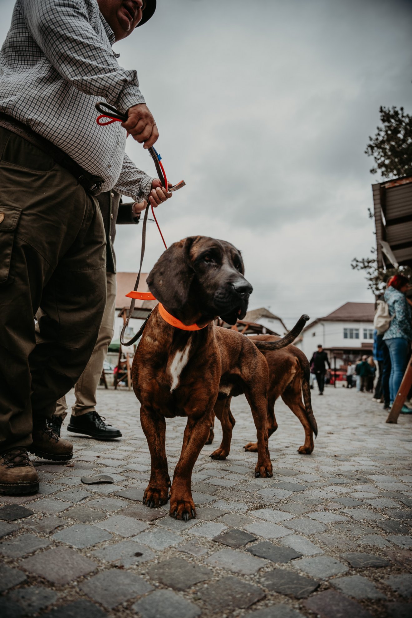 •  Fotó: Teutsch Tamás