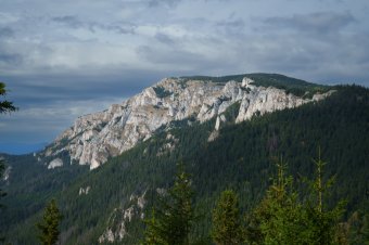 Medvék és esztenák közelsége miatt is veszélyes a biciklizés a nemzeti parkban, útvonalakat jelöltek ki