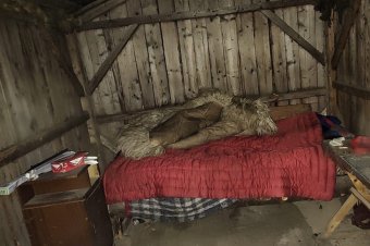 Hat embert dolgoztattak rabszolgaként egy székelyföldi esztenán