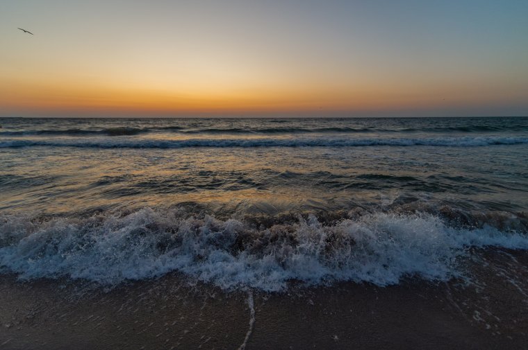 Hatástalanították a román partokra sodródott tengeri aknát