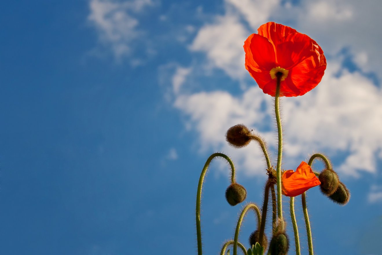 Képünk illusztráció •  Fotó: Pixabay