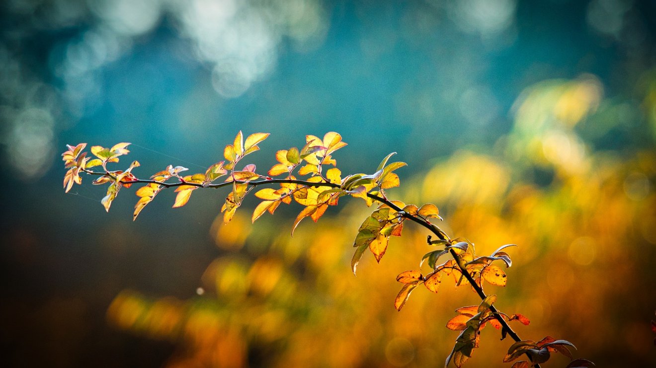 Képünk illusztráció •  Fotó: Pixabay