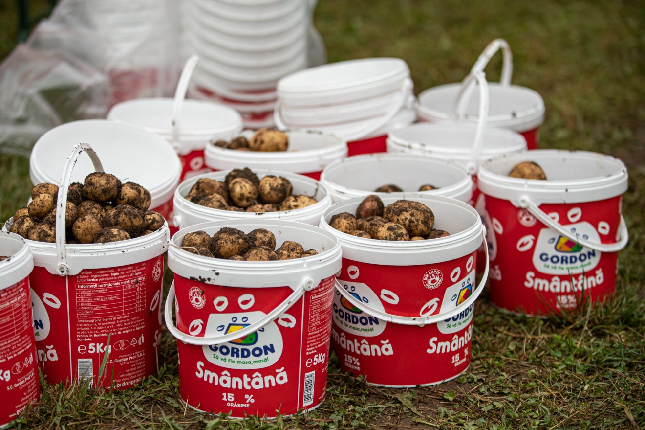 •  Fotó: Taste of Transylvania