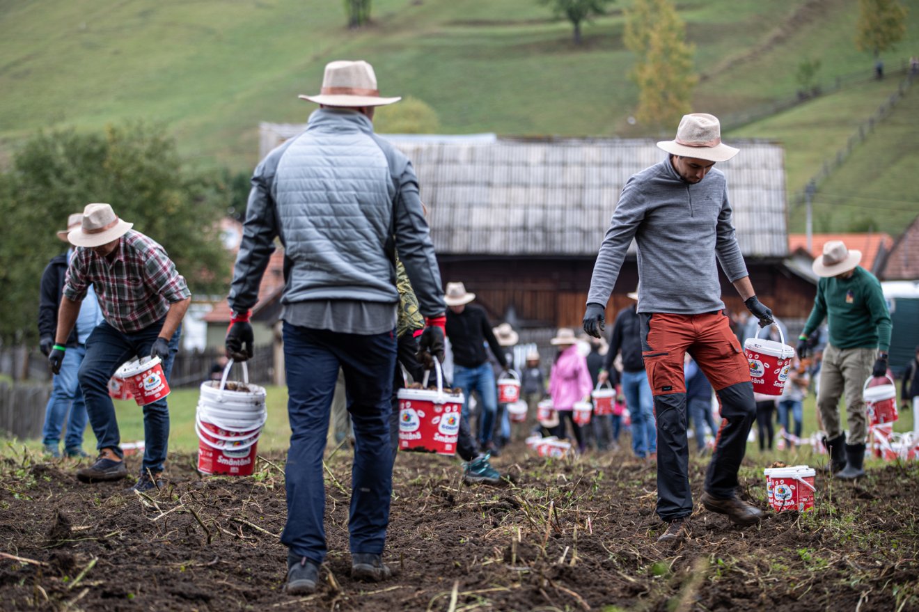 •  Fotó: Taste of Transylvania