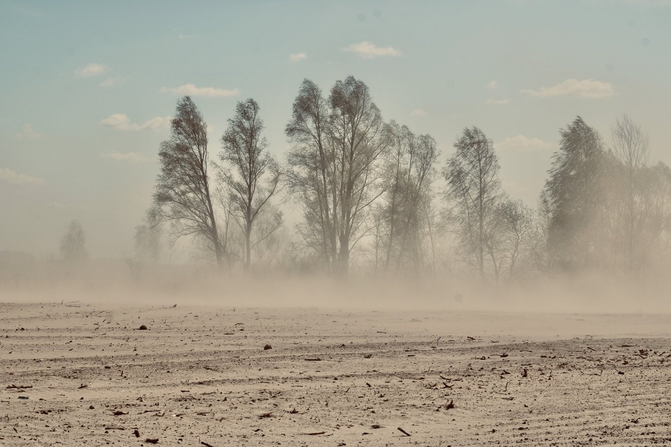 •  Fotó: Pixabay