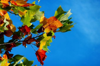 Ingadozó hőmérsékletek és futózáporok – íme a kéthetes előrejelzés