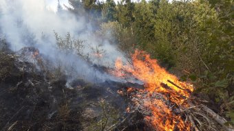 Több hektáron lángol a száraz növényzet Tekerőpatakon