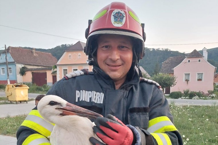 Fészkéből kiesett gólyafiókát mentettek a tűzoltók