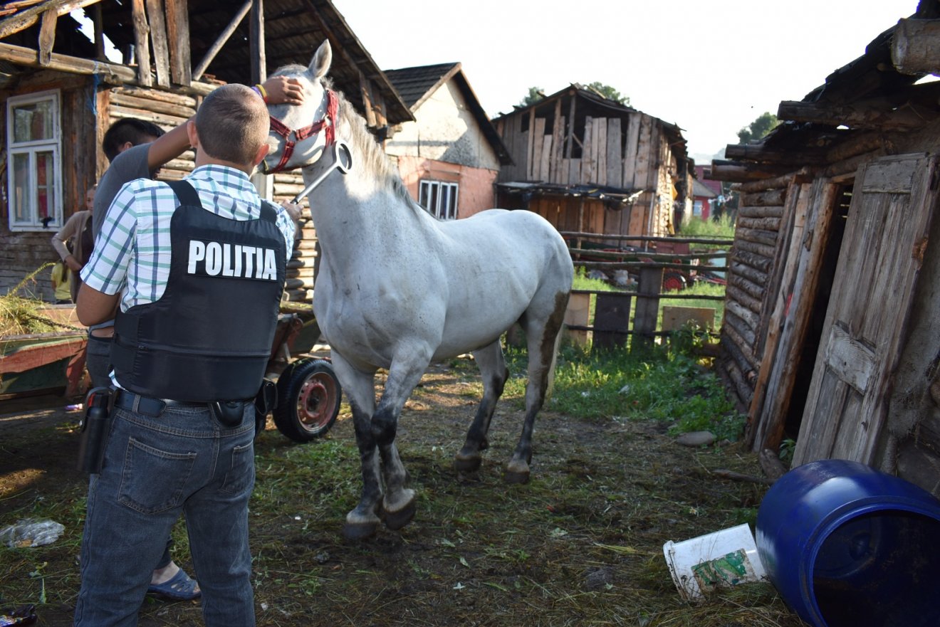 •  Fotó: Hargita Megyei Rendőr-főkapitányság