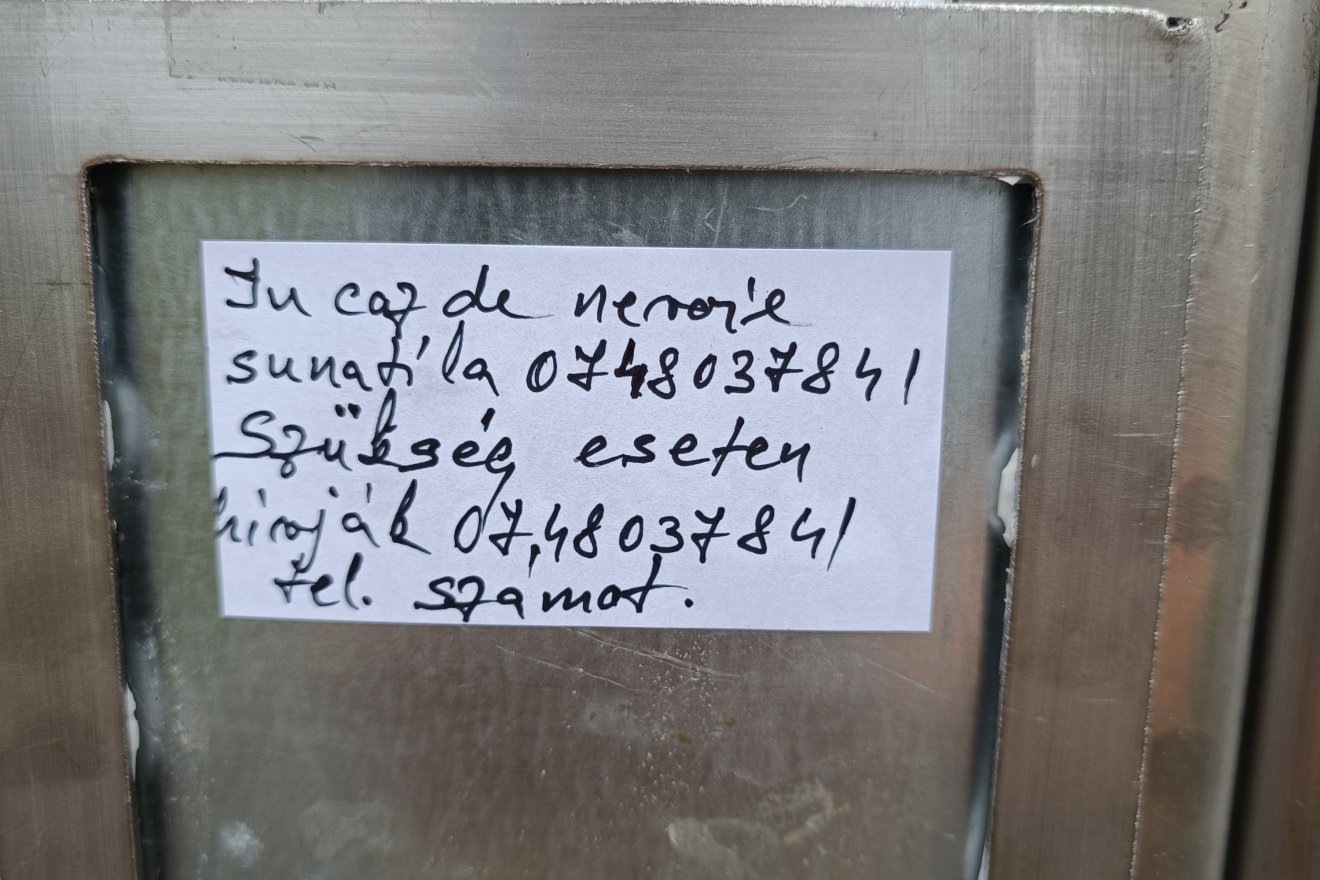 •  Fotó: Tamás Attila