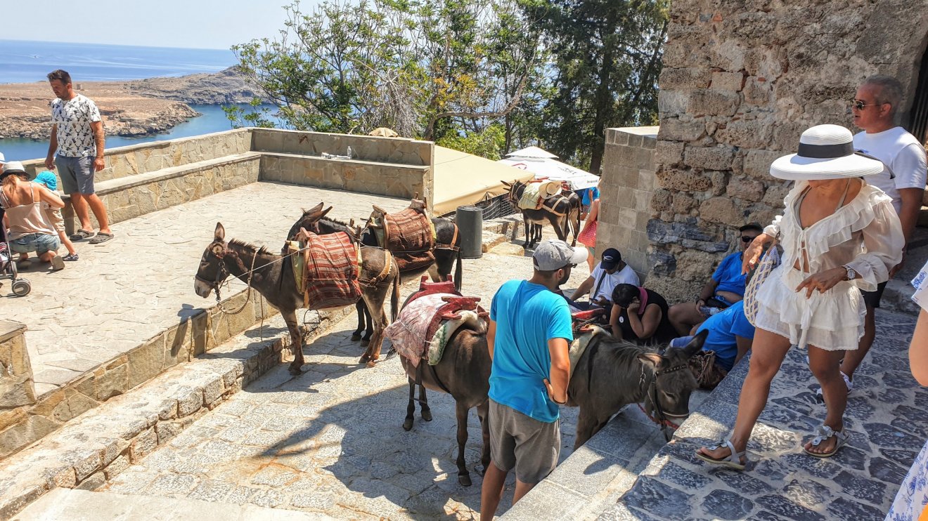 Lindos várába szamárháton is felmehetünk •  Fotó: Kocsis Károly