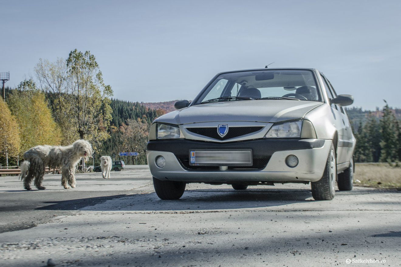 A változás első komolyabban vehető hírnöke, a Nova-alapú Solenza •  Fotó: Pinti Attila