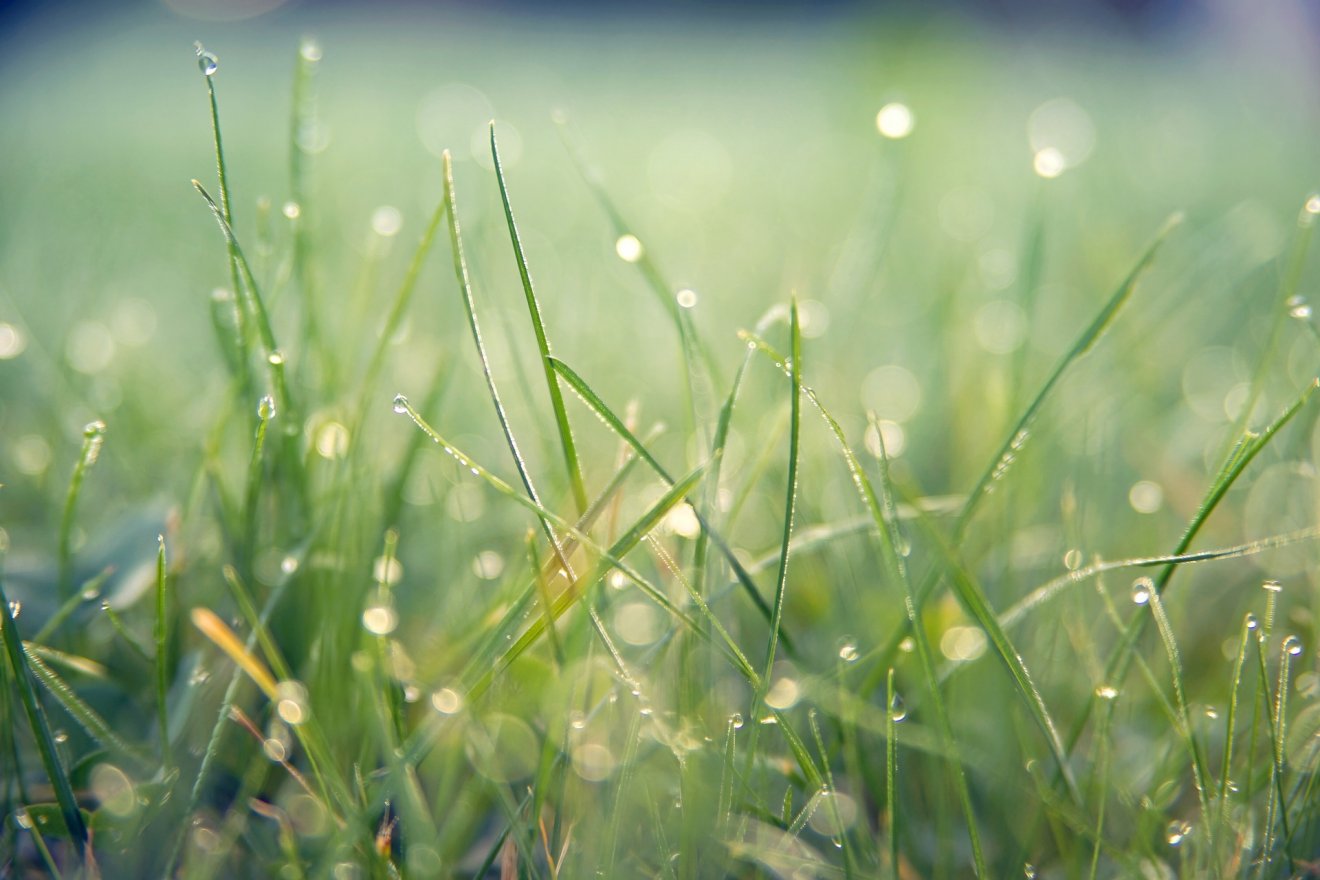 Képünk illusztráció •  Fotó: Pixabay