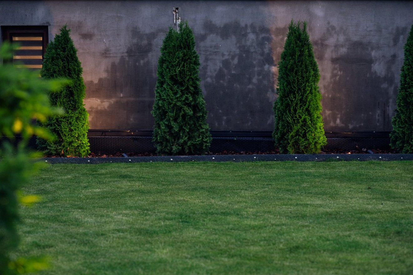 •  Fotó: Tesz-Vesz Garden
