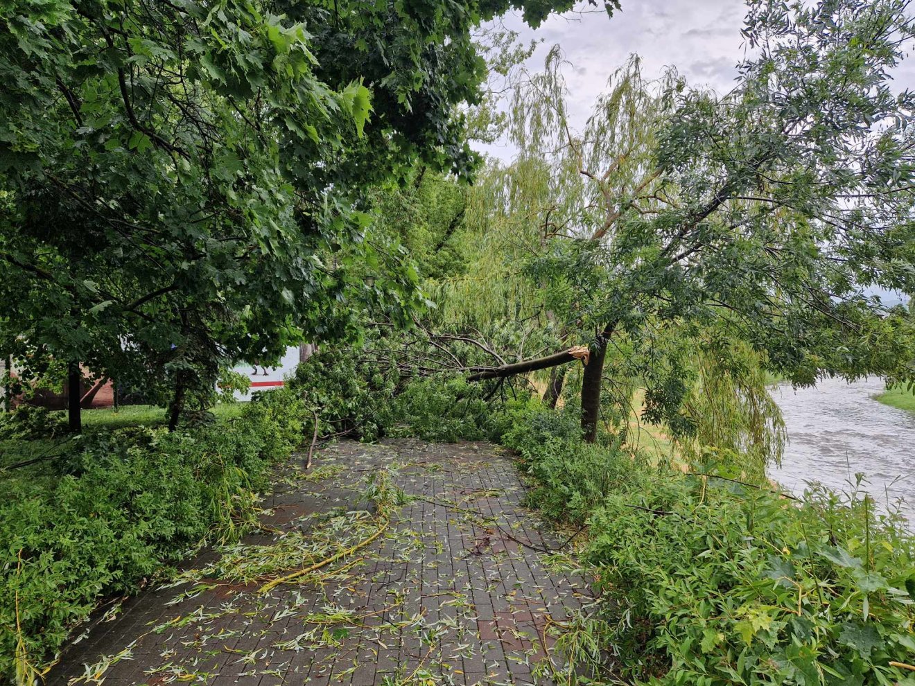•  Fotó: Székelyhon
