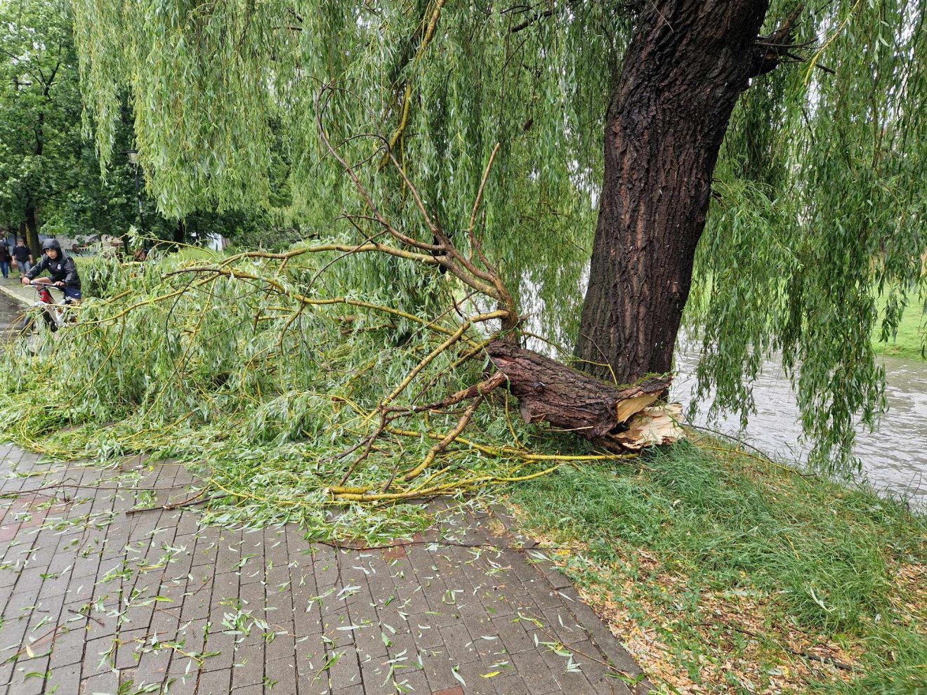•  Fotó: Székelyhon