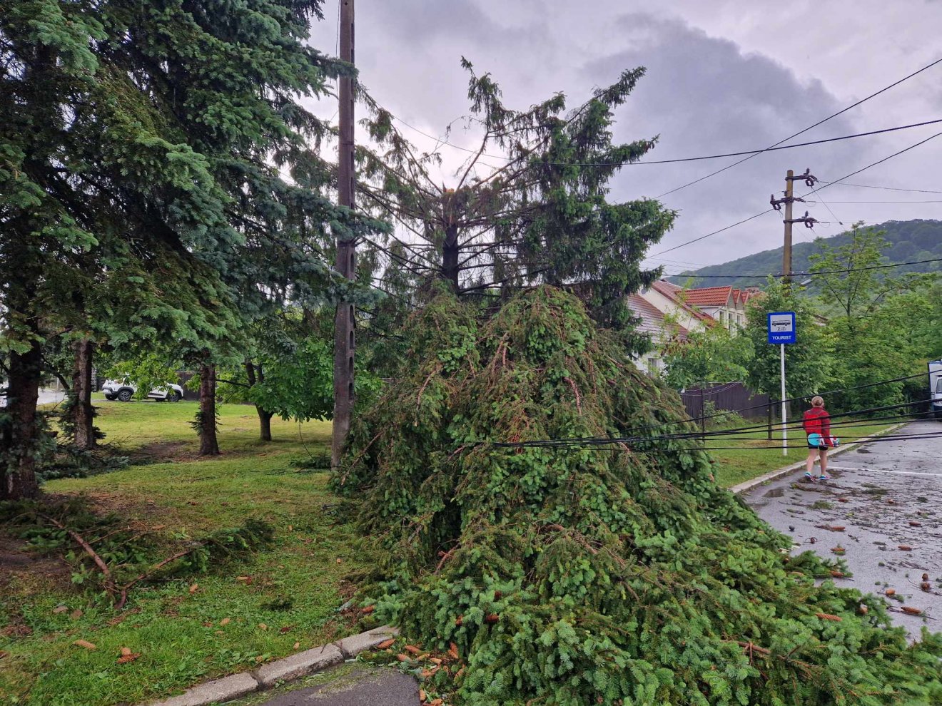 •  Fotó: Székelyhon