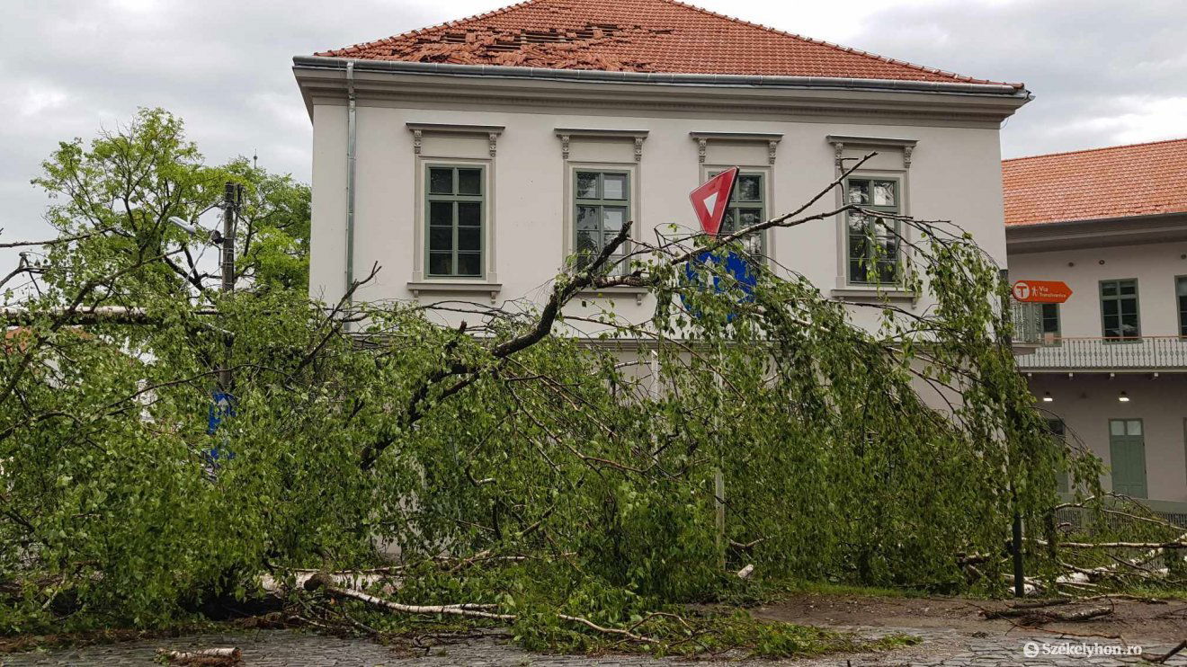 •  Fotó: Székelyhon